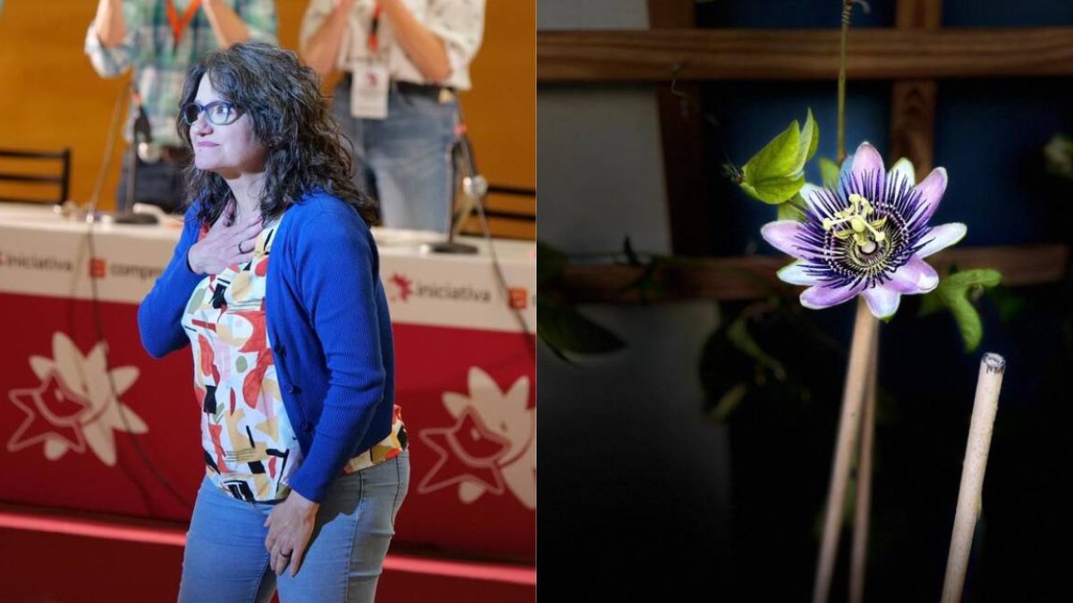 Mónica Oltra reaparece en la asamblea de Iniciativa