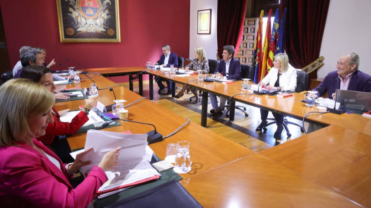 Pleno del Consell