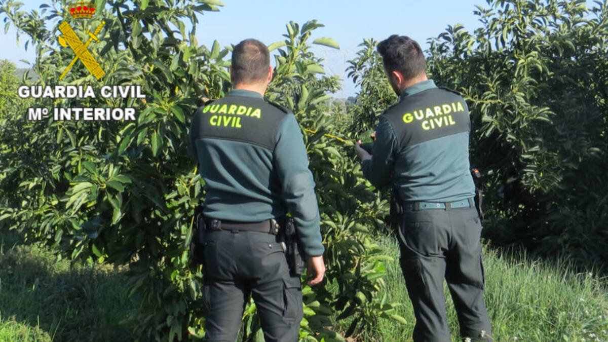 Agentes de la Guardia Civil