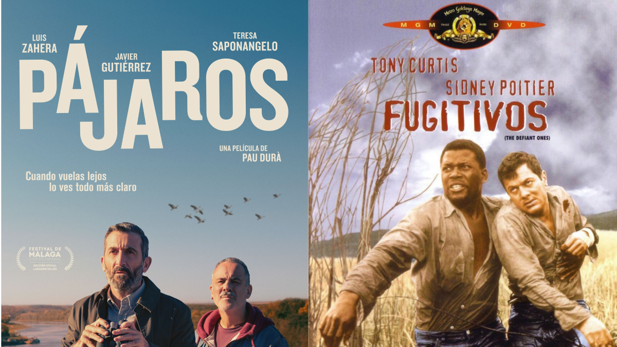 Posters de