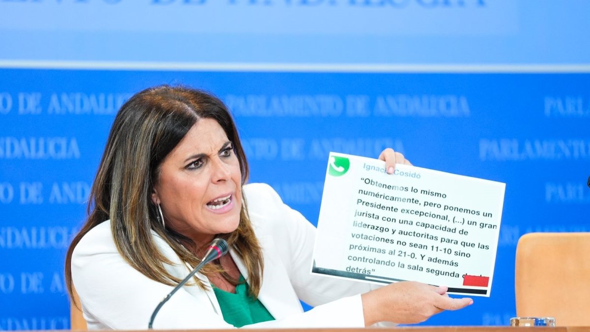 La portavoz del grupo parlamentario del PSOE andaluz, Ángeles Ferriz, en el Parlamento.