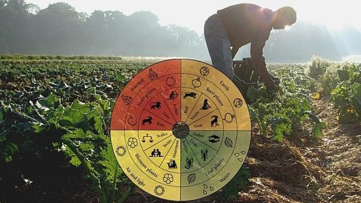 Llega la agricultura biodinámica a la Comunitat