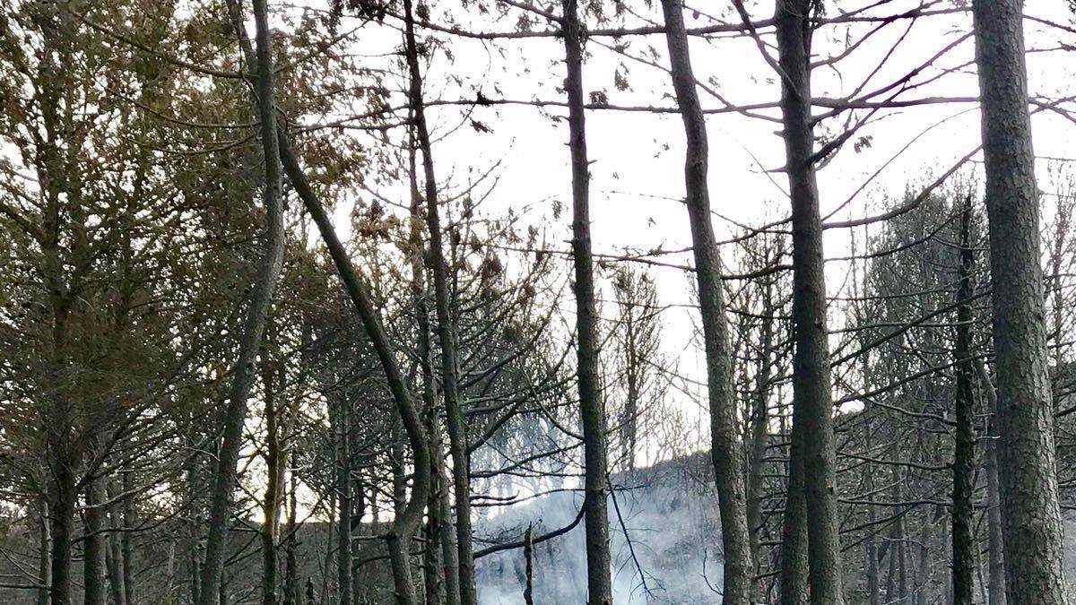 El ministerio envía más aviones al incendio que ya ha arrasado 3.000 hectáreas