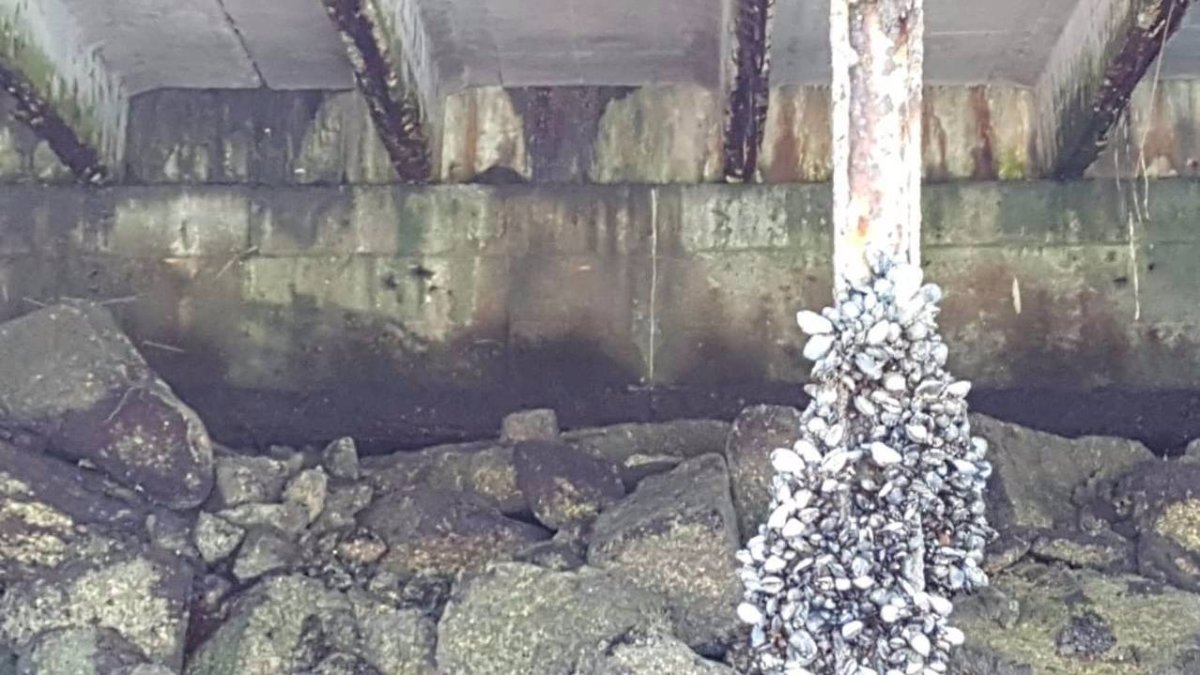 Las fotos hechas por el dueño de un barco de recreo hunden al alcalde de Vigo