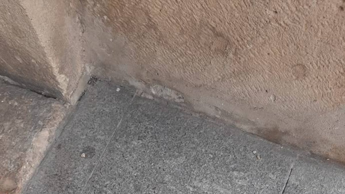 El Ayuntamiento de Alicante se cae a trozos y pone en riesgo a los viandantes
