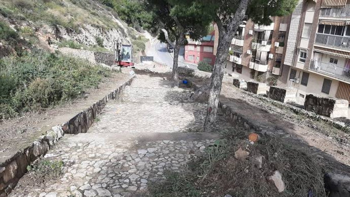 Alicante tala indiscriminadamente árboles en uno de los pulmones de la ciudad