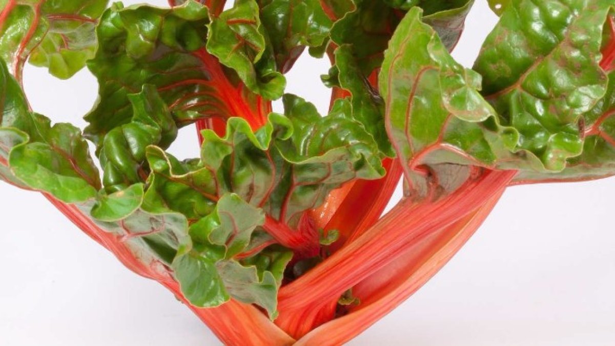 Acelga roja: el vegetal que te enamorará por sus propiedades
