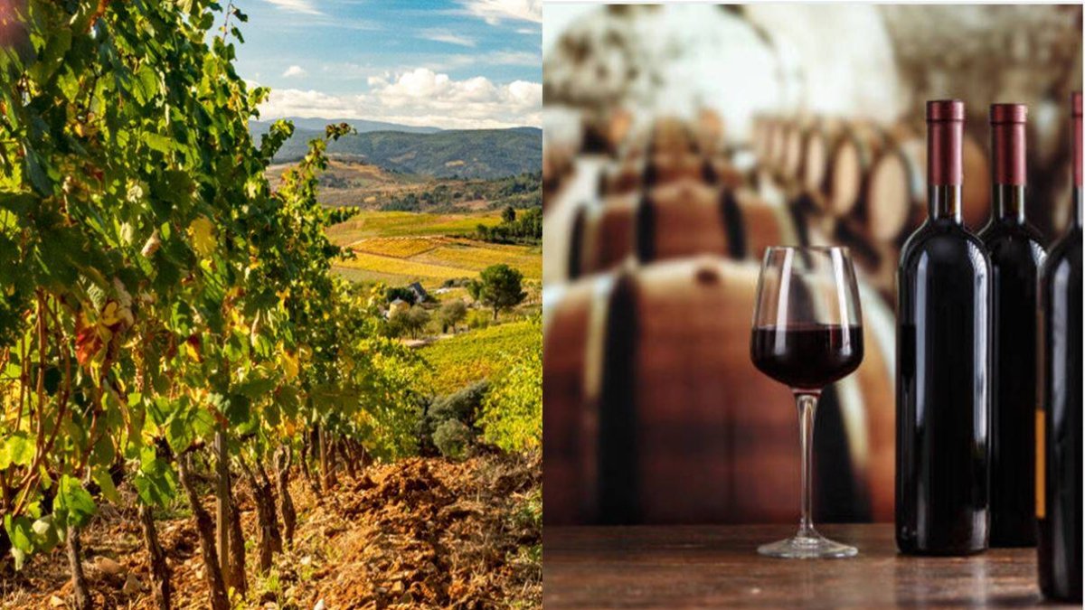 Denominaciones de Origen de vino en Castilla y León