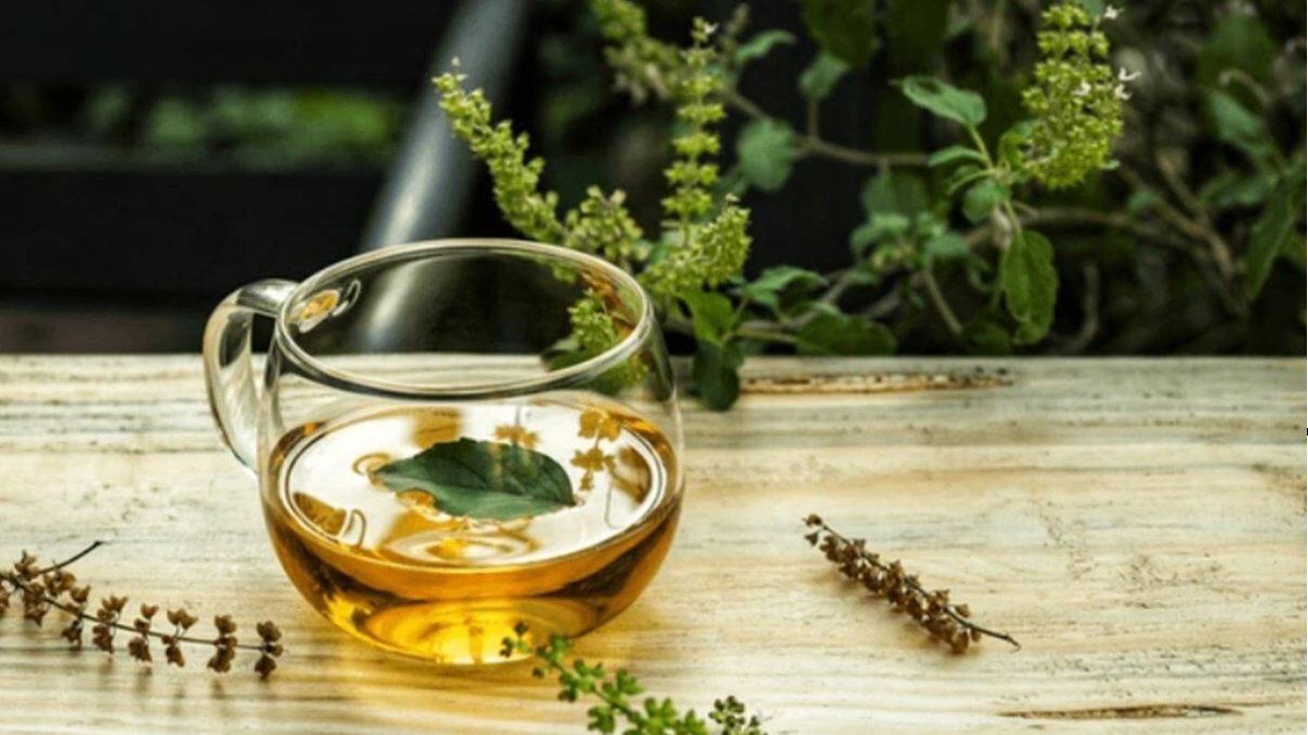 Albahaca sagrada o tulsi