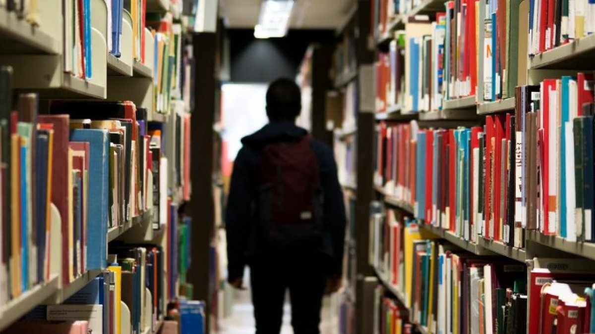 Así se arregla la educación