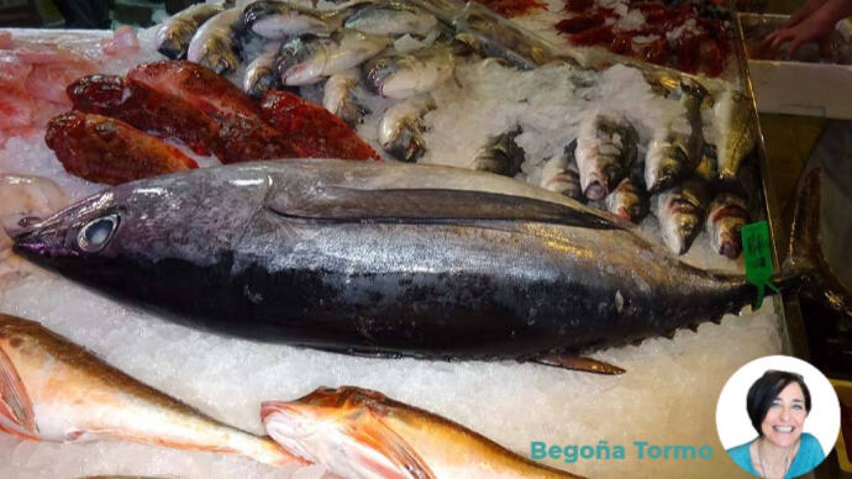 Los 13 mejores platos con bonito del norte