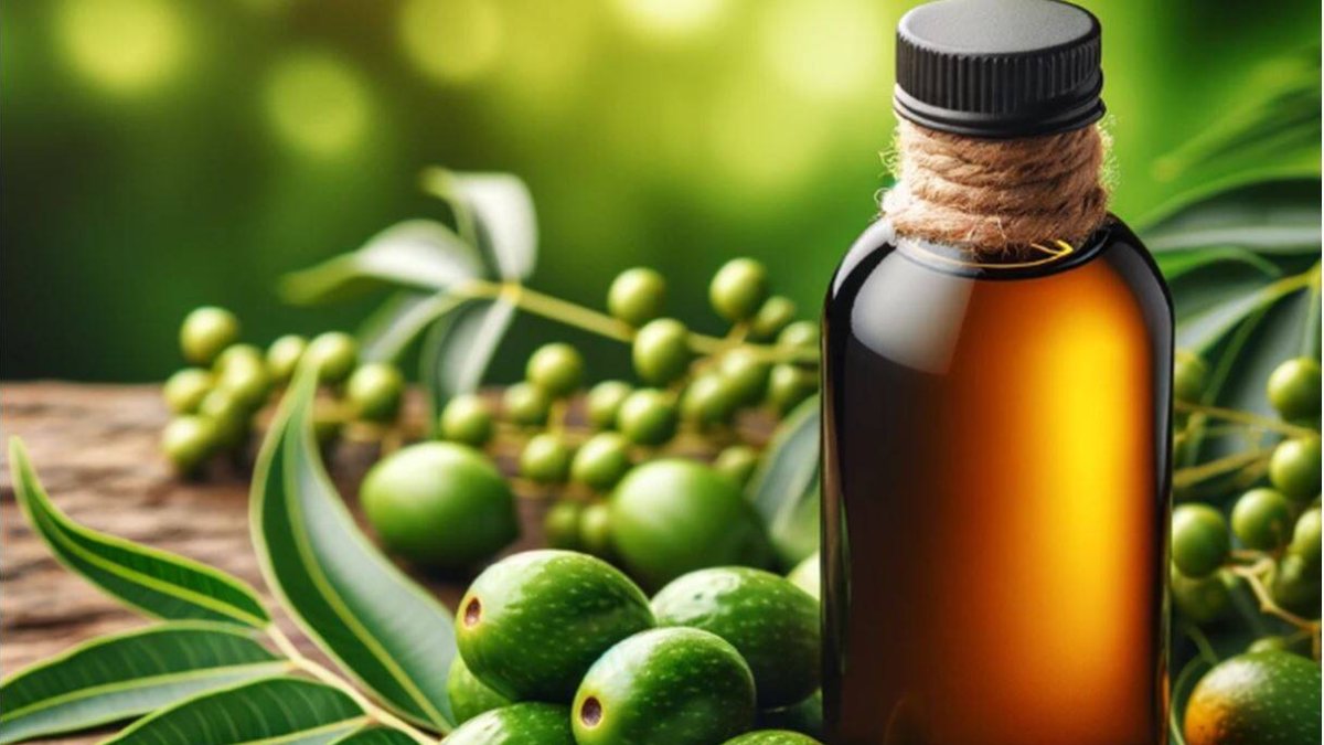 Aceite de Neem