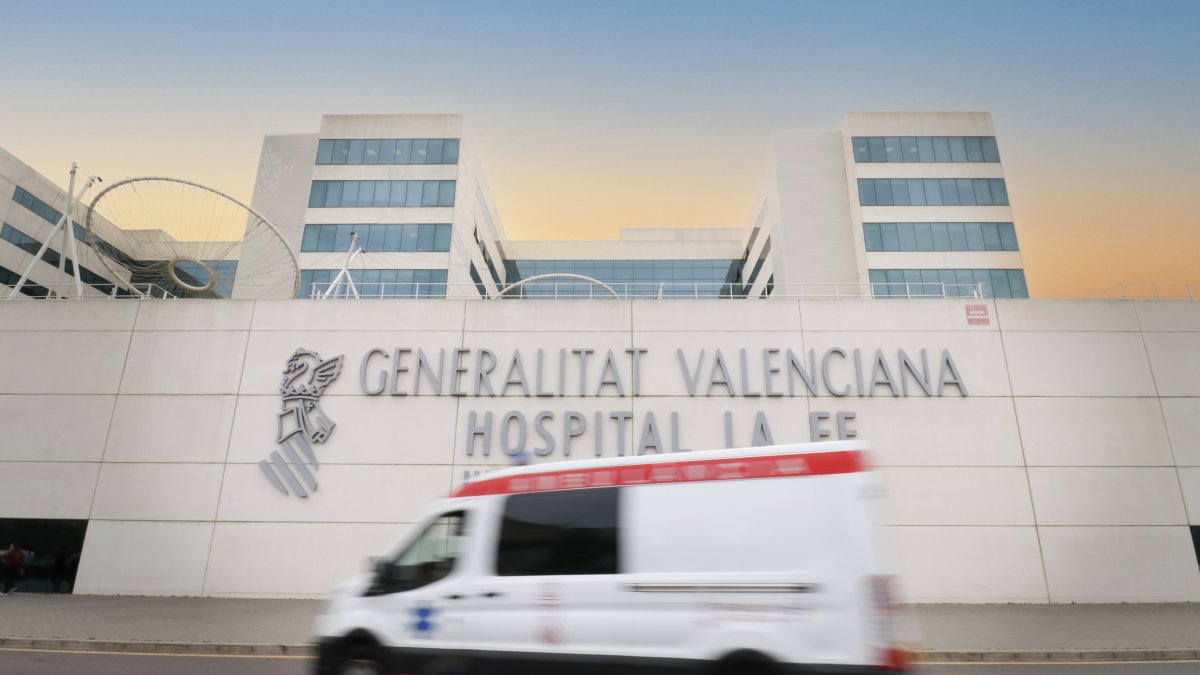 Hospital La Fe, Valencia