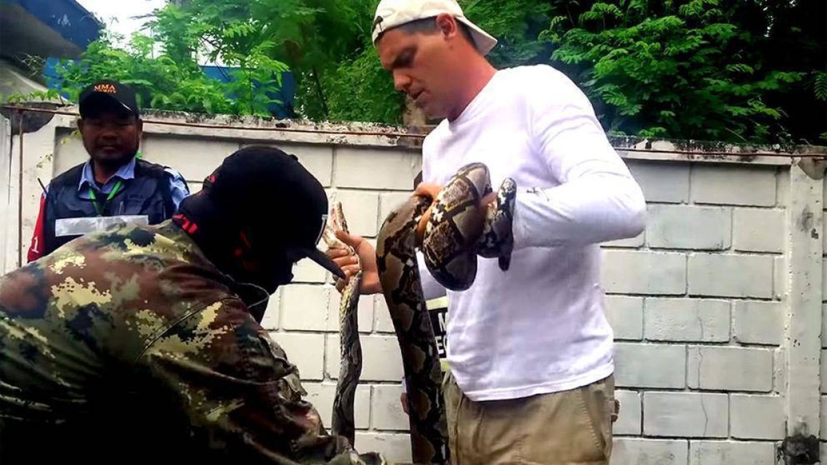 El divulgador Fran Cuesta, con la pitón que le ha mordido.
