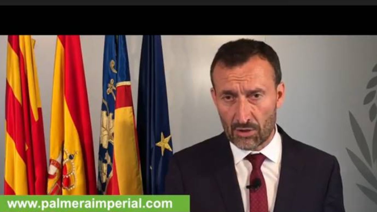 Campaña en las redes sociales a favor de la Palmera Imperial de Elche