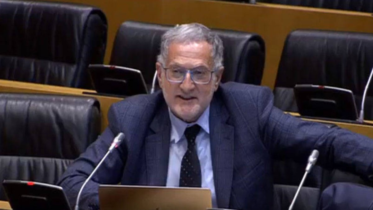 El diputado de Vox José Luis Steegmann.