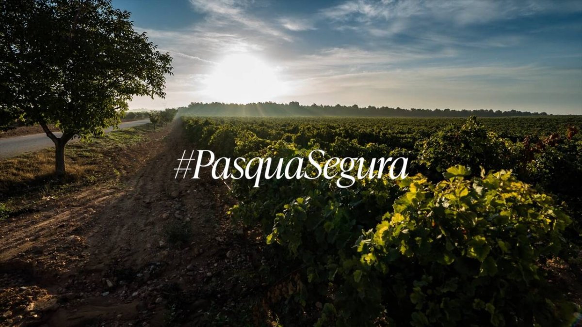 La Generalitat lanza la campaña ’Pascua Segura’