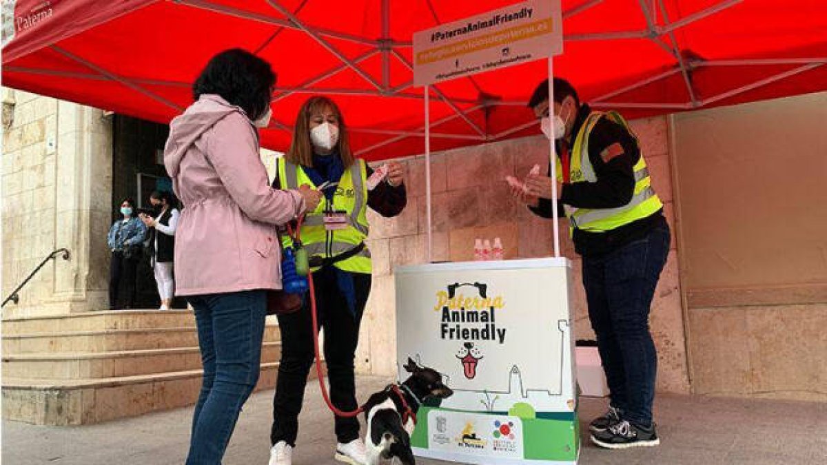 Paterna, una ciudad “Animal Friendly”