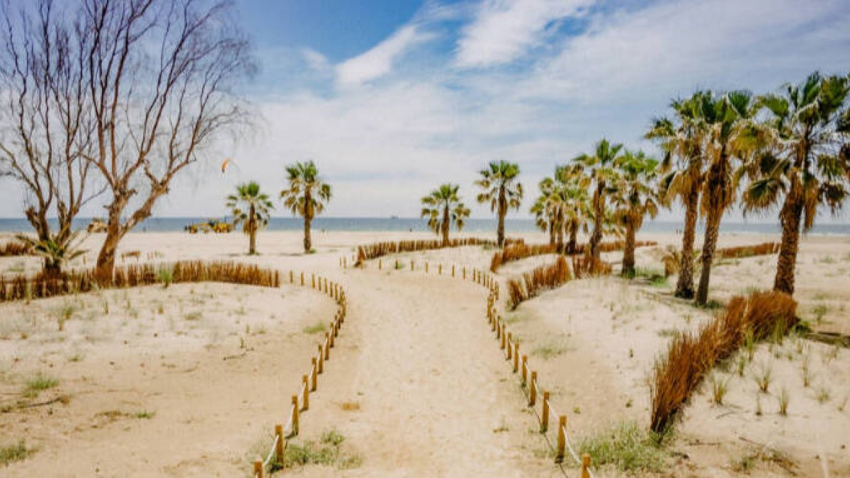Castellón tendrá tres playas con acreditación de calidad ambiental y turística