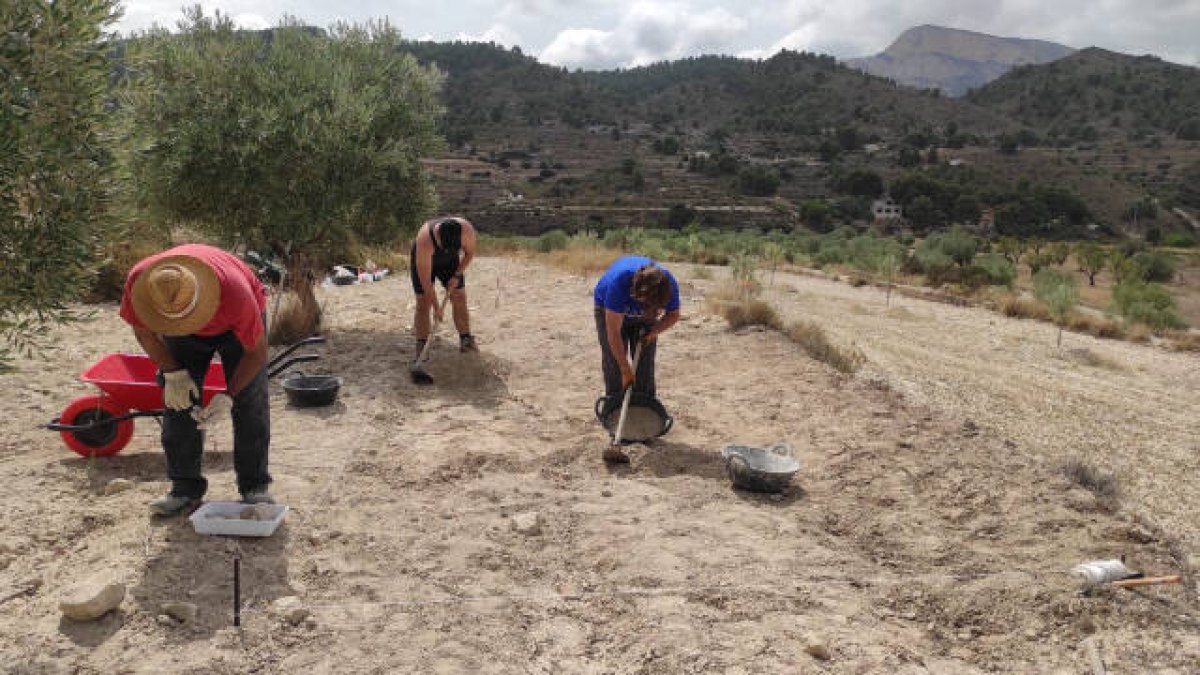 La alquería de Puça de Petrer, en busca de los orígenes medievales del municipio