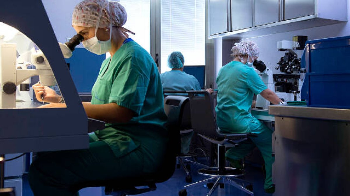 Una mala alimentación y mal uso de fármacos, enemigos de proceso de reproducción