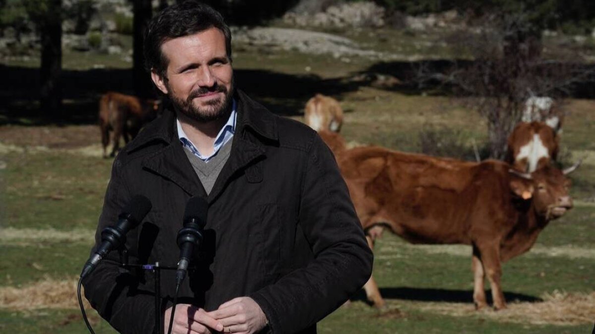 Pablo Casado