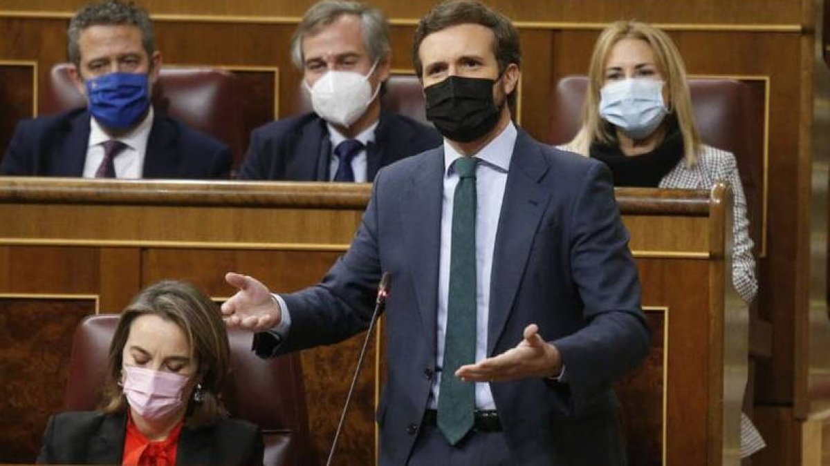 El líder del PP, Pablo Casado