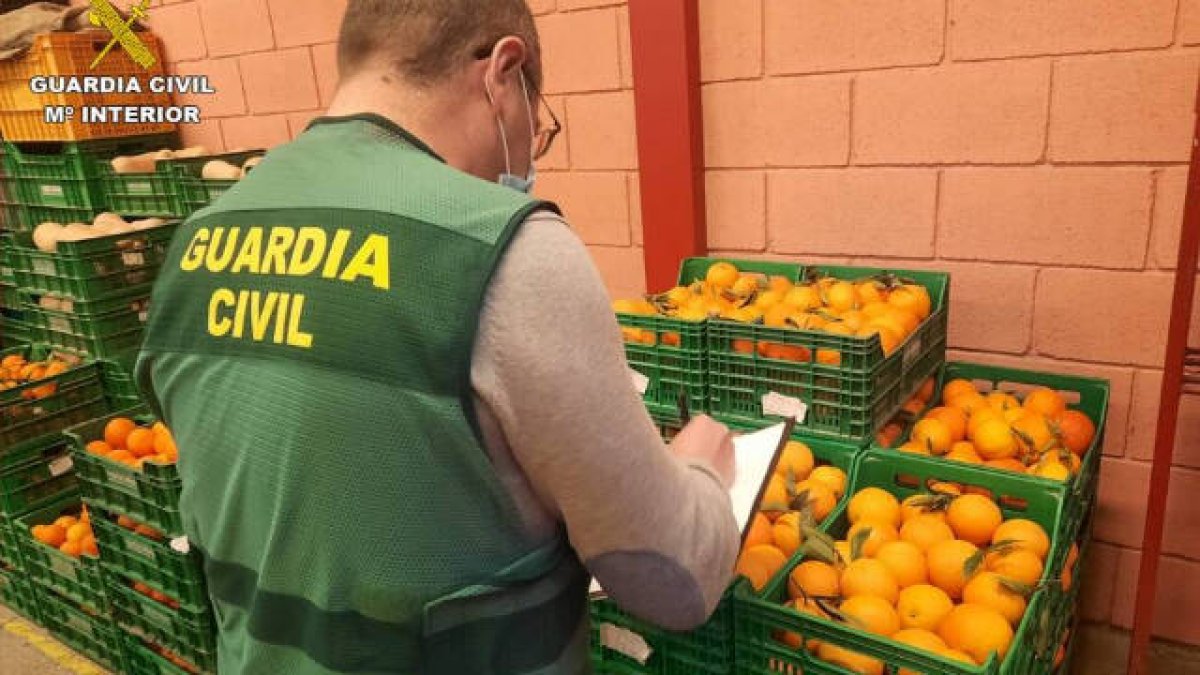 El plaguicida empleado está prohubido en la Unión Europea para usarlo en la industria alimentaria