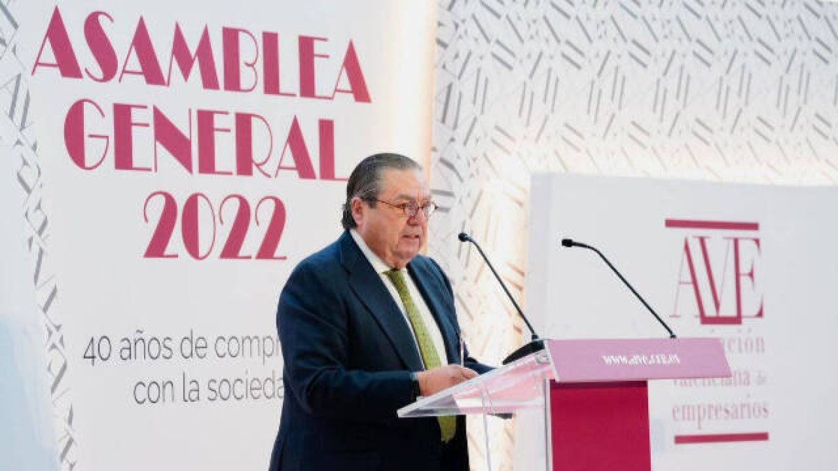 El presidente de la Asociación Valenciana de Empresarios, Vicente Boluda.