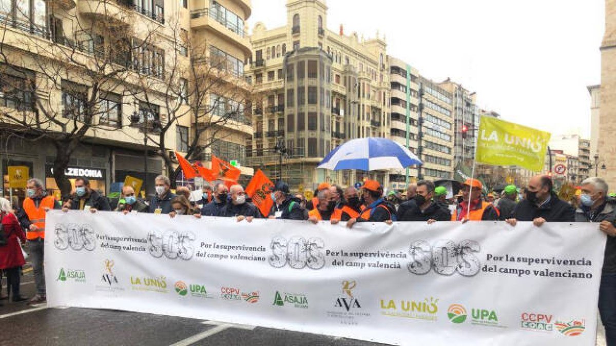 Imagen del transcurso de la manifestación.