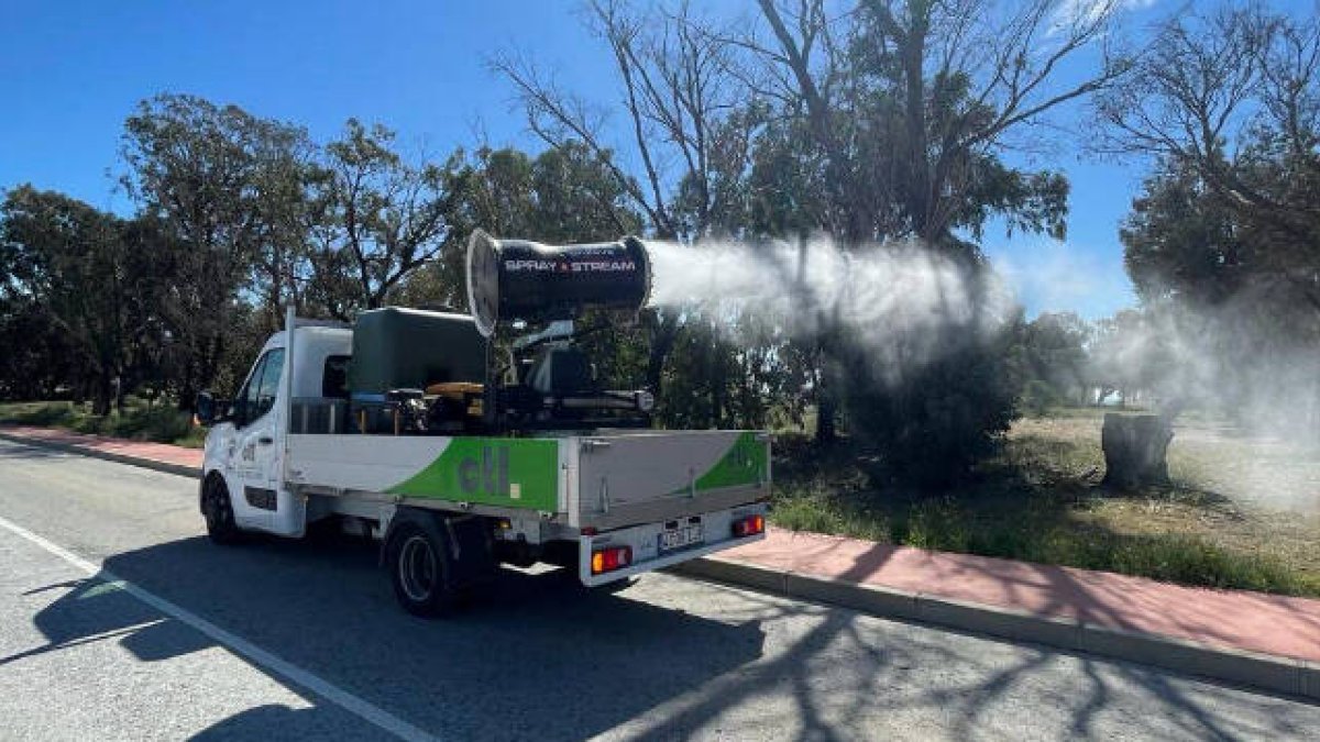 Elche intensifica la fumigación contra las plagas de mosquitos tras las lluvias