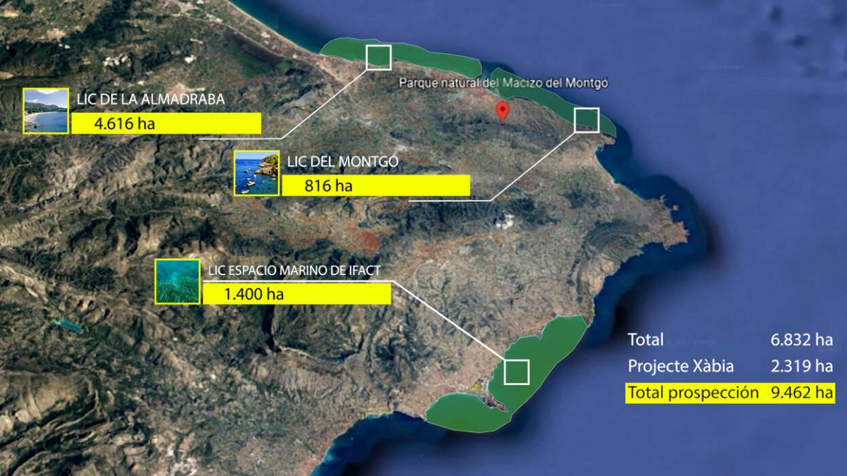 Imagen de las áreas de estudio del 'Projecte Posidònia'.