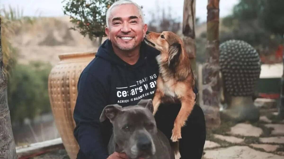 El encantador de perros César Millán estrena programa tras pisar el infierno