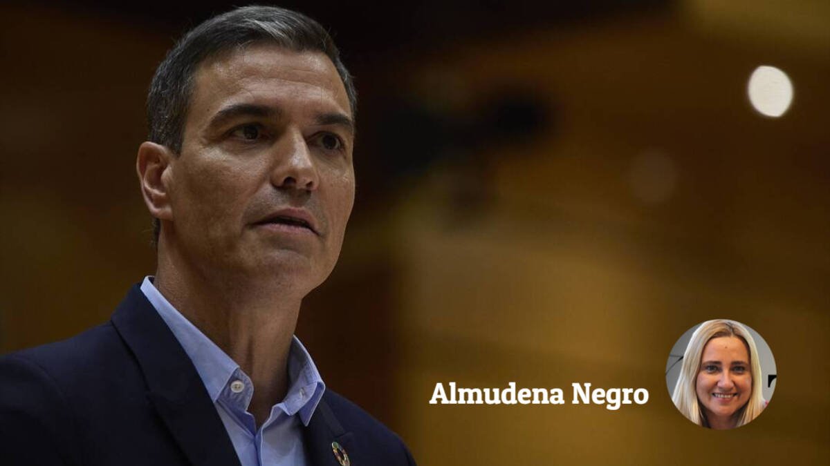 Pedro Sánchez, este martes en el Senado