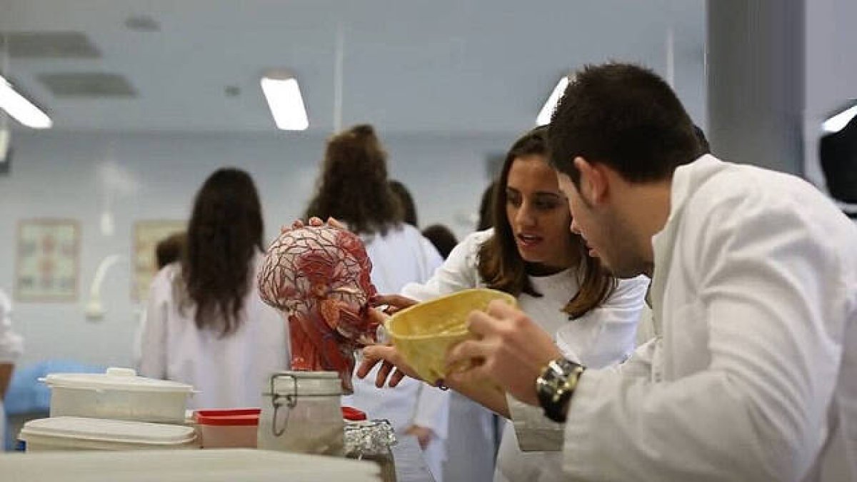 La UMH se sitúa entre las mejores universidades españolas