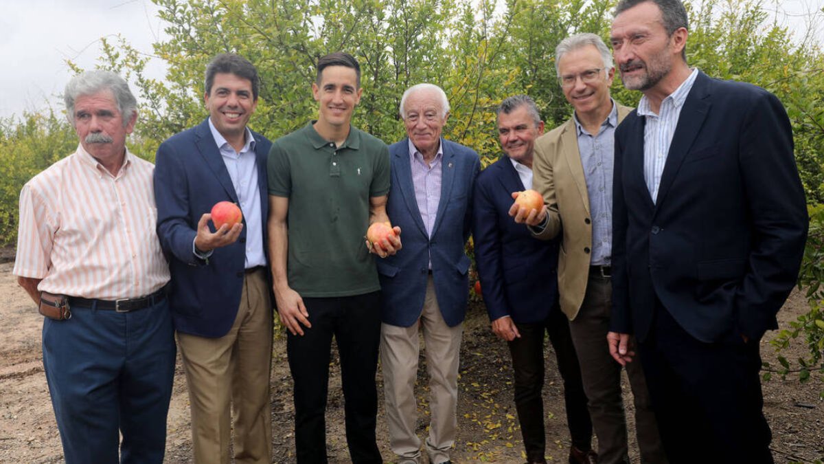 La granada mollar espera alcanzar una producción de 40 millones de kilos