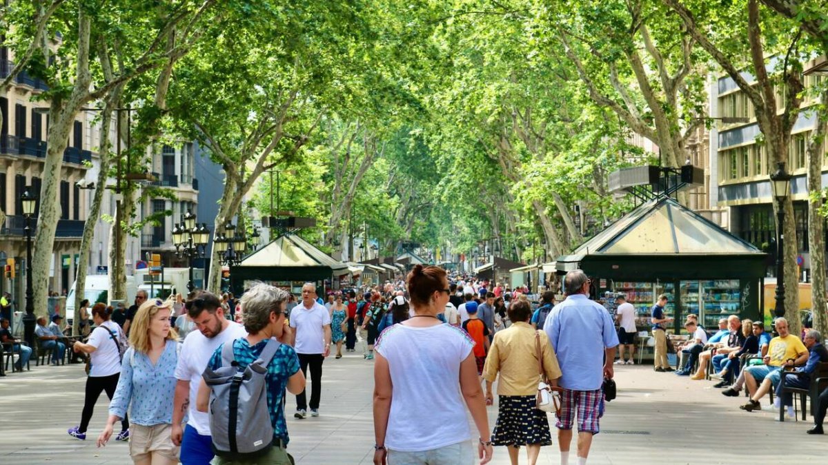 El cambio climático amenaza la supervivencia de los árboles urbanos