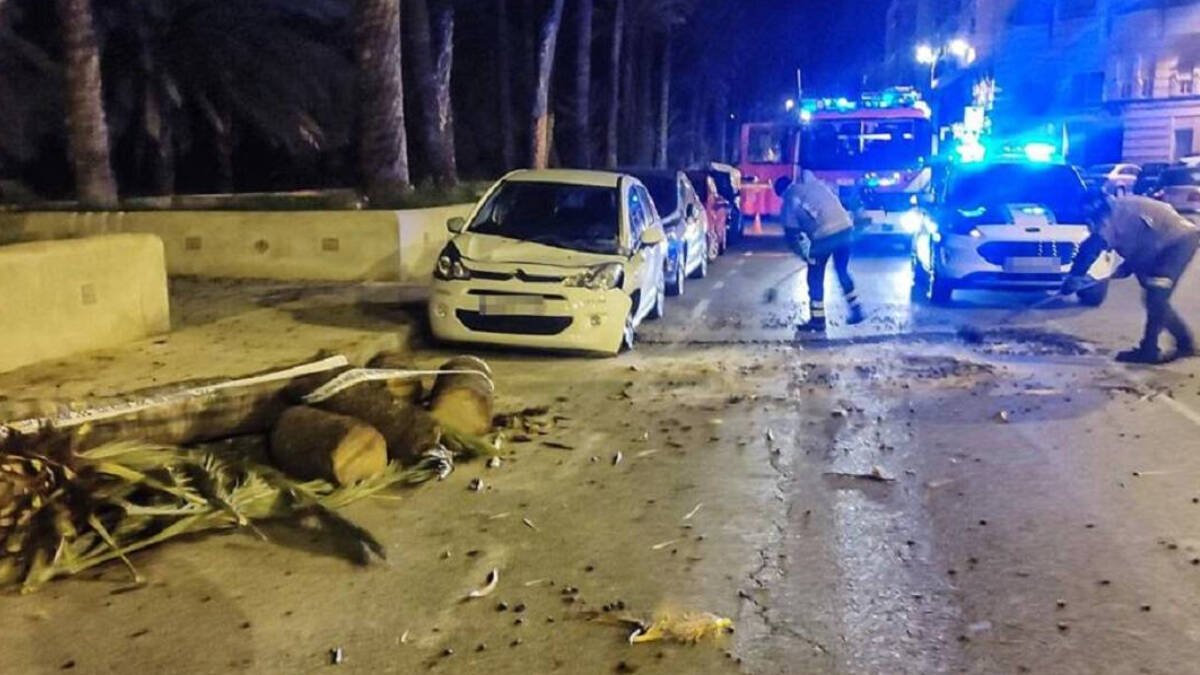 Las fuertes rachas de viento provocan caídas de palmeras y desperfectos