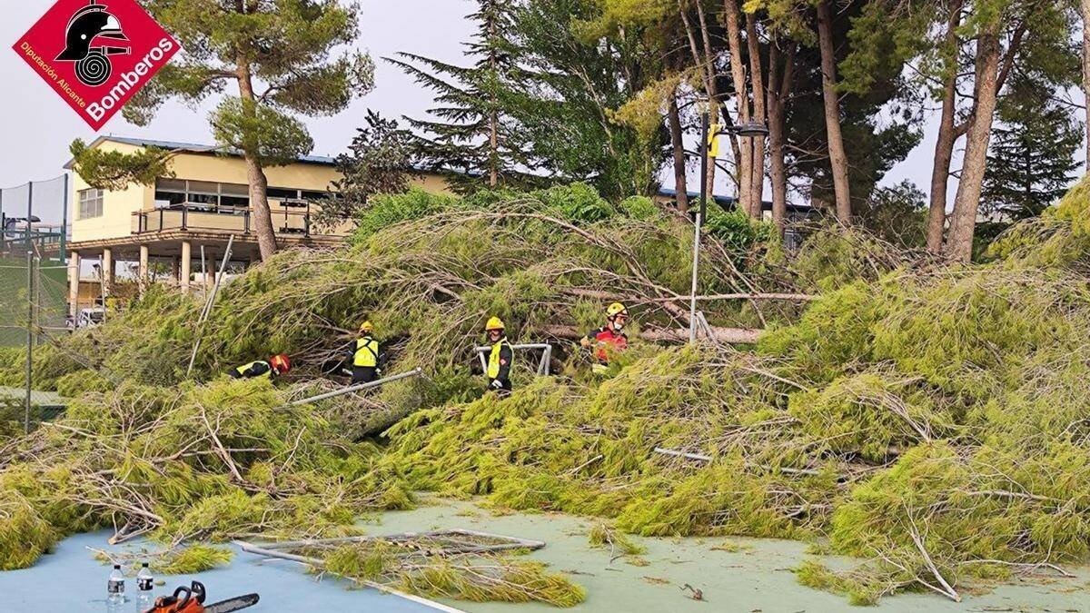 Decenas de árboles caídos en Villena