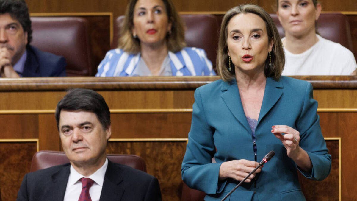 La portavoz del PP en el Congreso, Cuca Gamarra; y el diputado del PP, Carlos Rojas.
