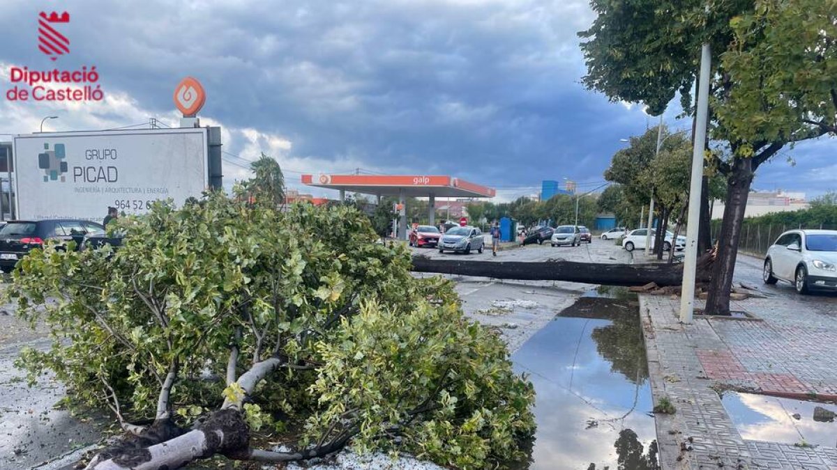 El viento huracanado y la tromba de agua provocan el caos en Castellón