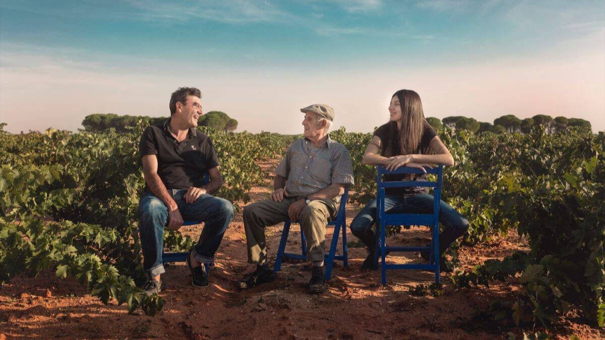 Un vino alicantino entre los 10 mejores del mundo