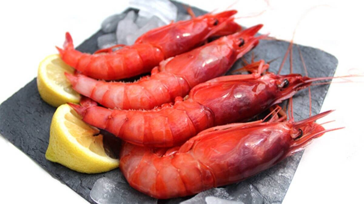 Gamba roja de Dénia