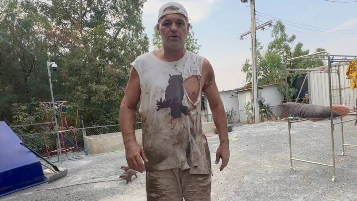 Así ha quedado Frank Cuesta tras el ataque del ciervo.