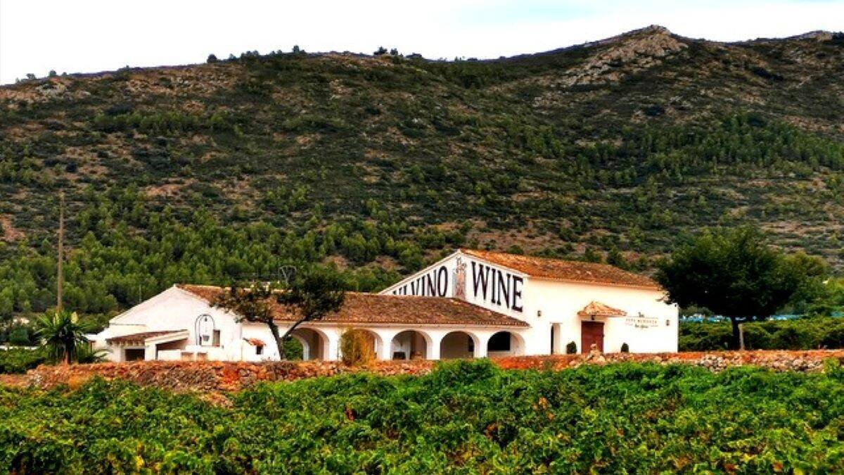 La bodega más sostenible de España está en Alicante