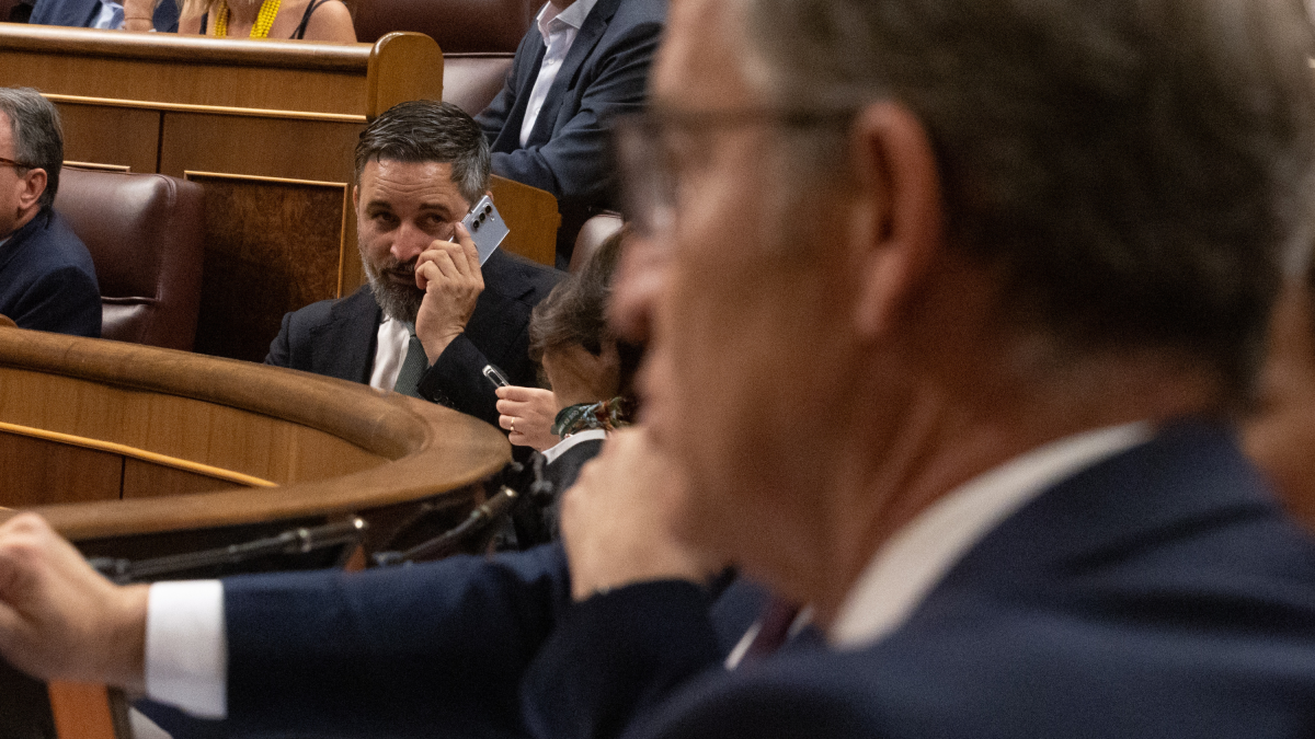 EN DIRECTO | PP se une al PSOE y sus aliados para tumbar una propuesta de Vox para derogar las leyes de aborto y eutanasia