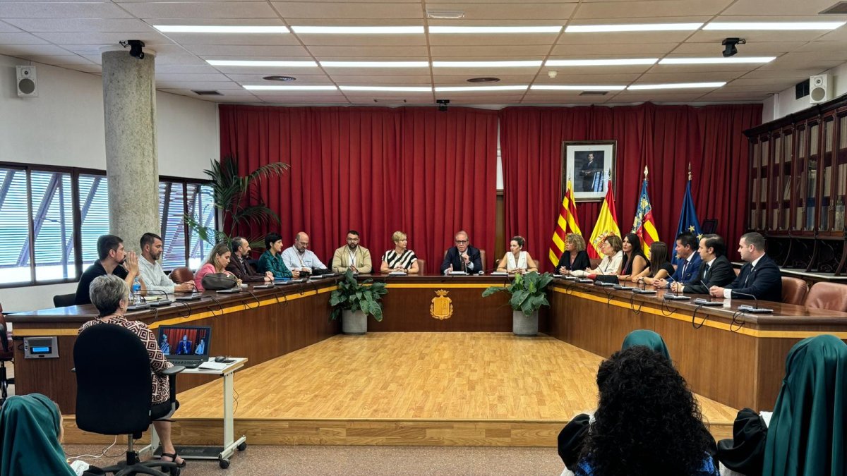 Momento del pleno institucional
