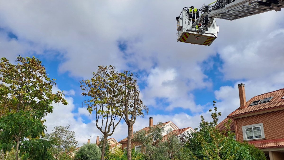 Los Bomberos de la Diputación Valladolid intervienen en Arroyo de la Encomienda (Valladolid) ante el desprendimiento y rotura de ramas de árboles por el viento.