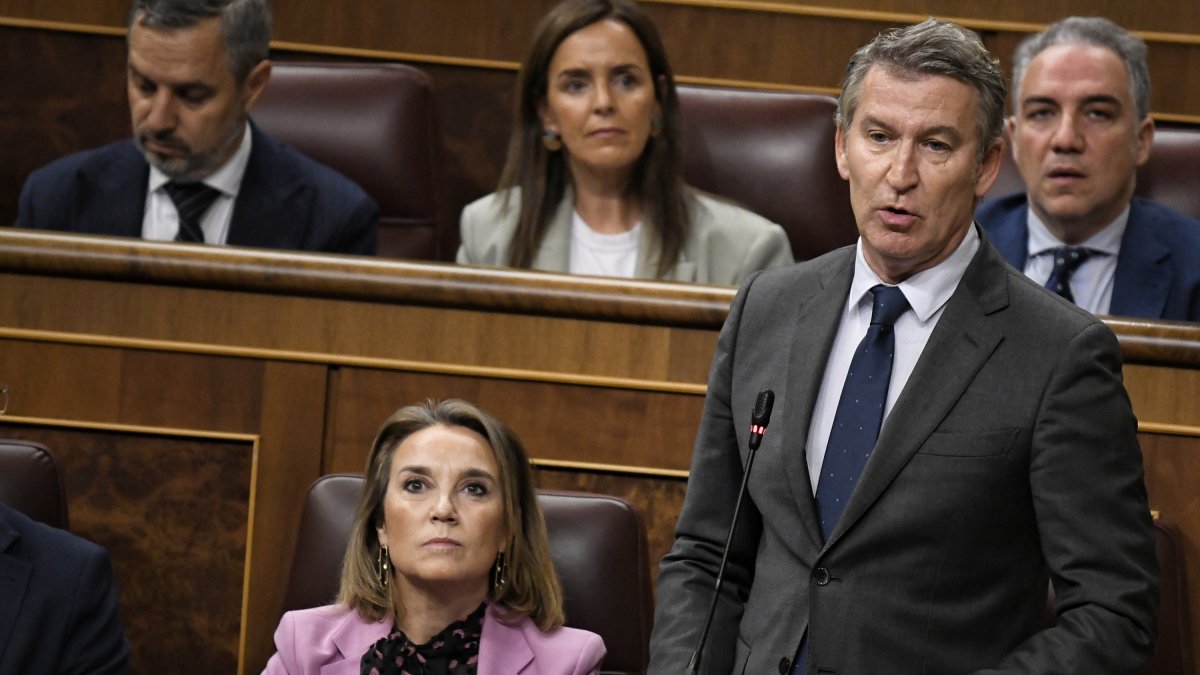 El presidente del PP, Alberto Núñez Feijóo, interviene durante una sesión de control al Gobierno.