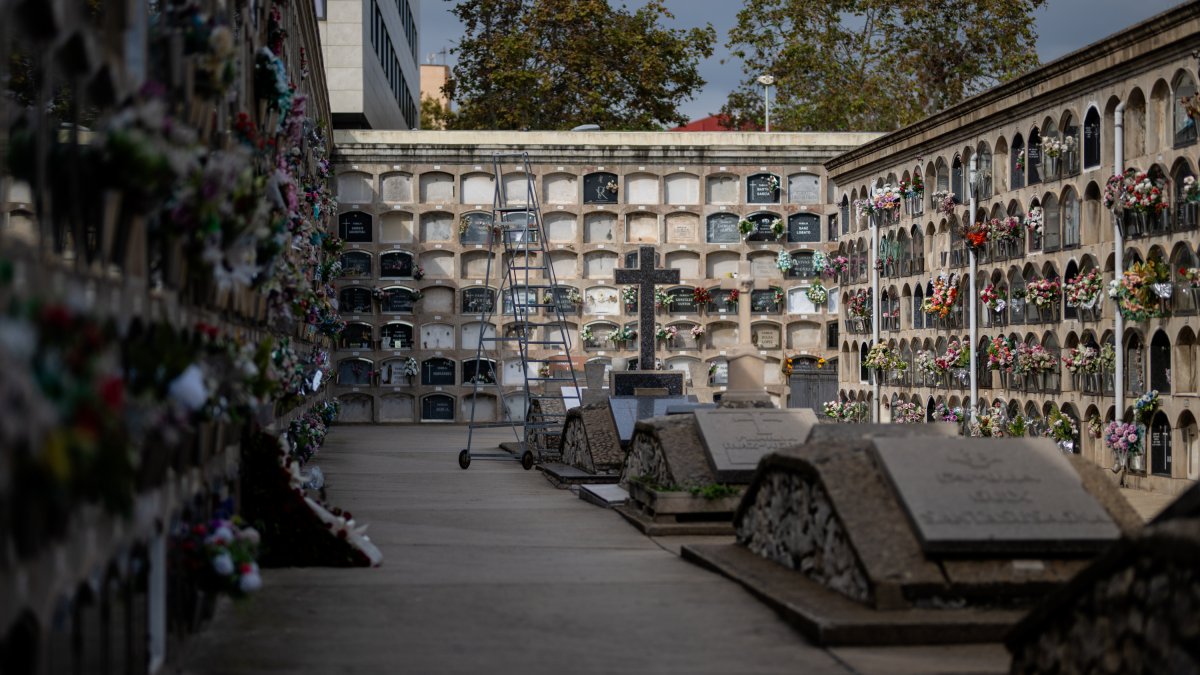 (Foto de ARCHIVO)
Cementerio del barrio de Poblenou, a 25 de octubre de 2024, en Barcelona, Catalunya (España). El cementerio es un museo funerario repleto de esculturas. Es una obra del arquitecto italiano Antonio Ginesi, y fue el resultado de la reconstrucción que tuvo lugar en 1819, tras la destrucción que sufrió el antiguo cementerio del Este en 1775.
Lorena Sopêna / Europa Press
25 OCTUBRE 2024;CEMENTERIO;LÁPIDAS;NOCHE DE MUERTOS;DÍA DE TODOS LOS SANTOS;HALLOWEEN;MUSEO FUNERARIO;CRUCES;NICHOS;PANTEÓN;CATALUÑA;POBLENOU;
25/10/2024